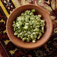 Classic lukewarm fresh fafa bean salad